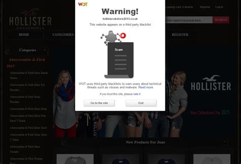 fake hollister website